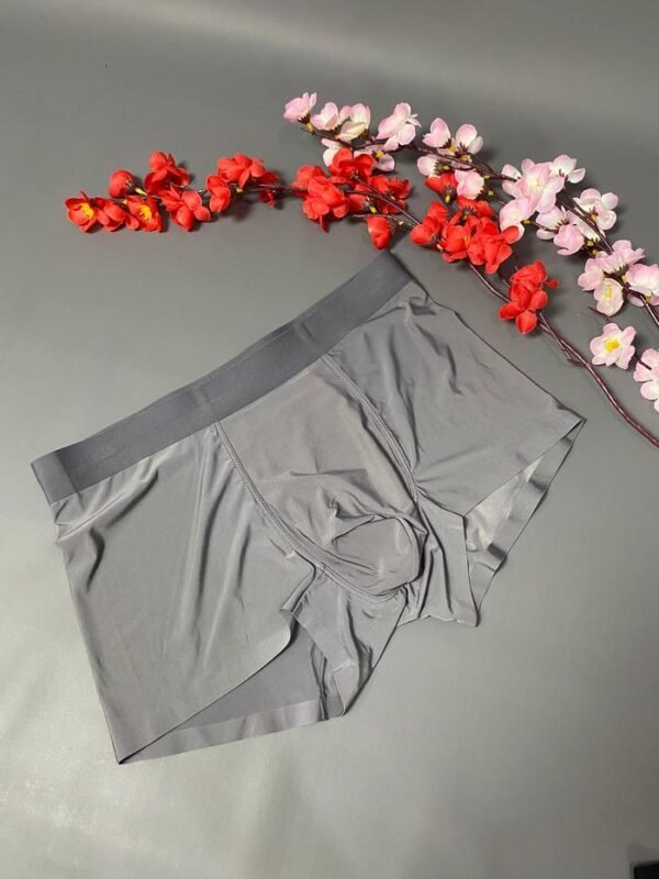 BenneLica CD Celana Dalam Boxer Laki Cowok Pria Dewasa 7901 Men Underwear Man Fashion 5A+ Antibakteri Ice Silk Elastis Ready Jumbo / Over / Big / + Size - Image 3