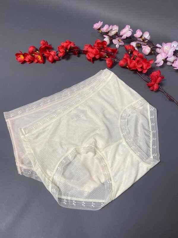 BenneLica Stylish CD 2309 Celana Dalam Cewek Wanita Dewasa Woman Underwear Woman Fashion Tipis Kuat Nyaman Ready Jumbo / Over / Big / + Size